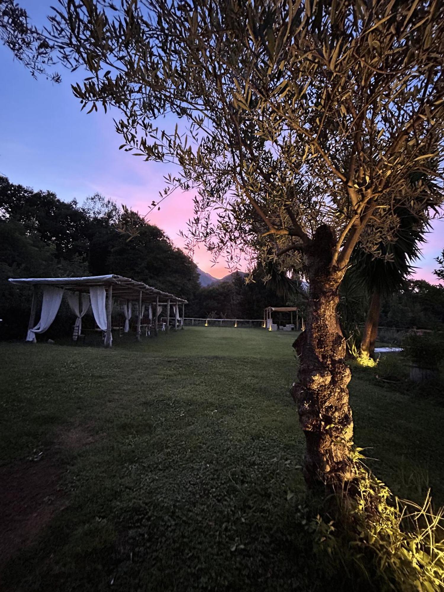 Séjour à la ferme Colle Maiano Vietri